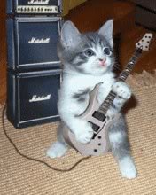 musiccat[1].jpg